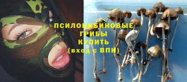 apvp Балабаново