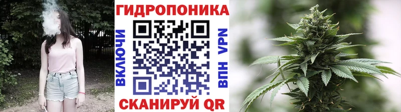ссылка на мегу зеркало  Орёл  МАРИХУАНА семена 